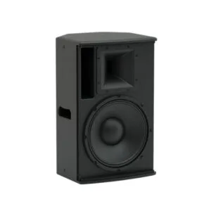 MARTIN AUDIO XP12